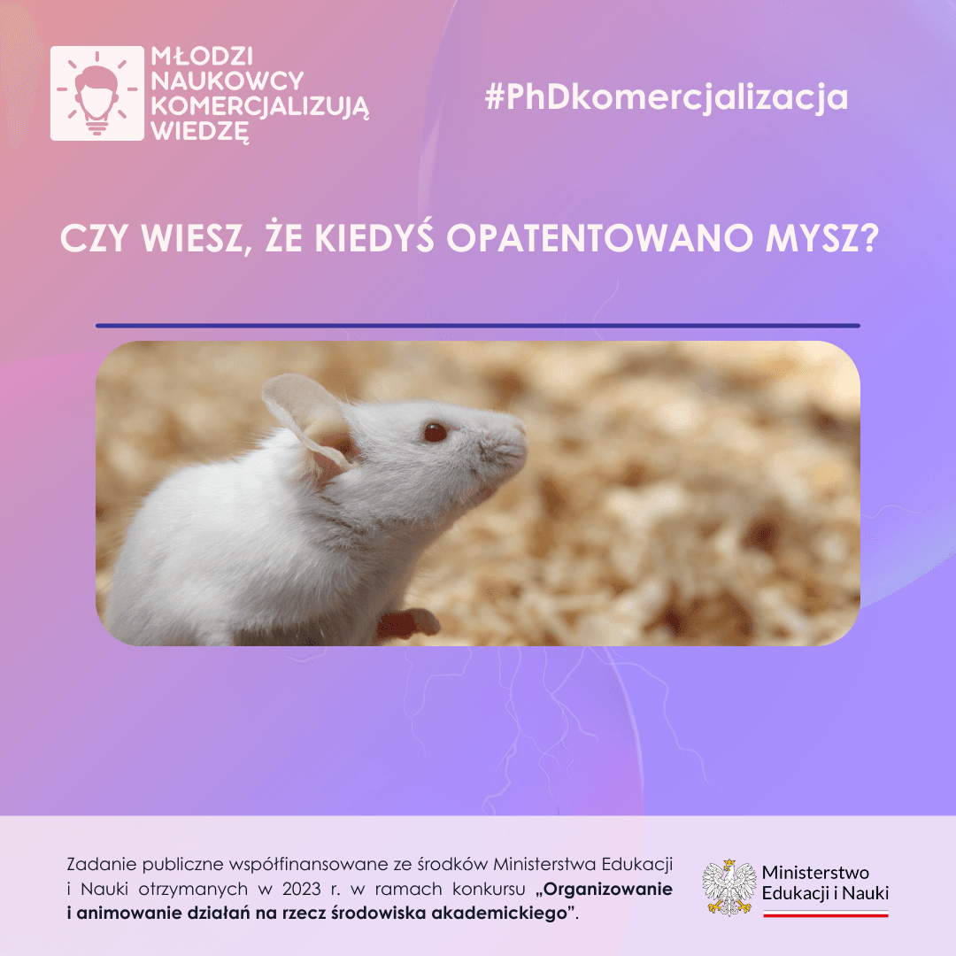 MNKW posty-4