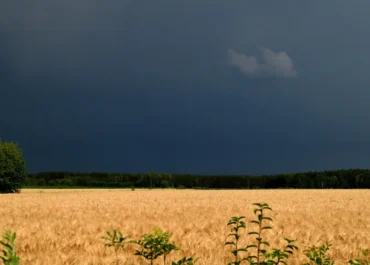 Grzmoty mogą pomóc zajrzeć pod powierzchnię Ziemi